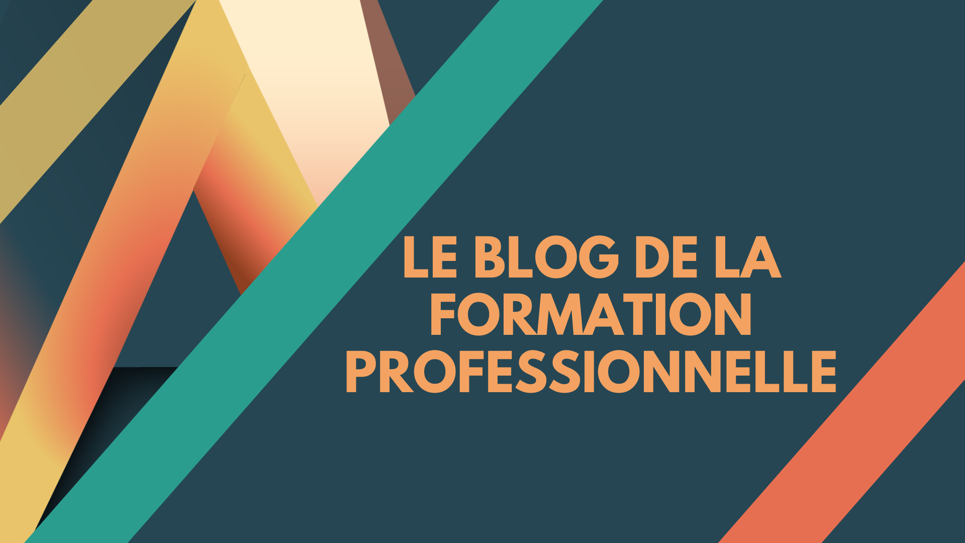 BLOG - Anaia